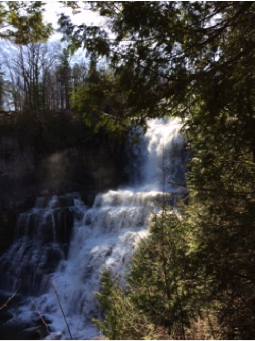 ChittenangoFalls