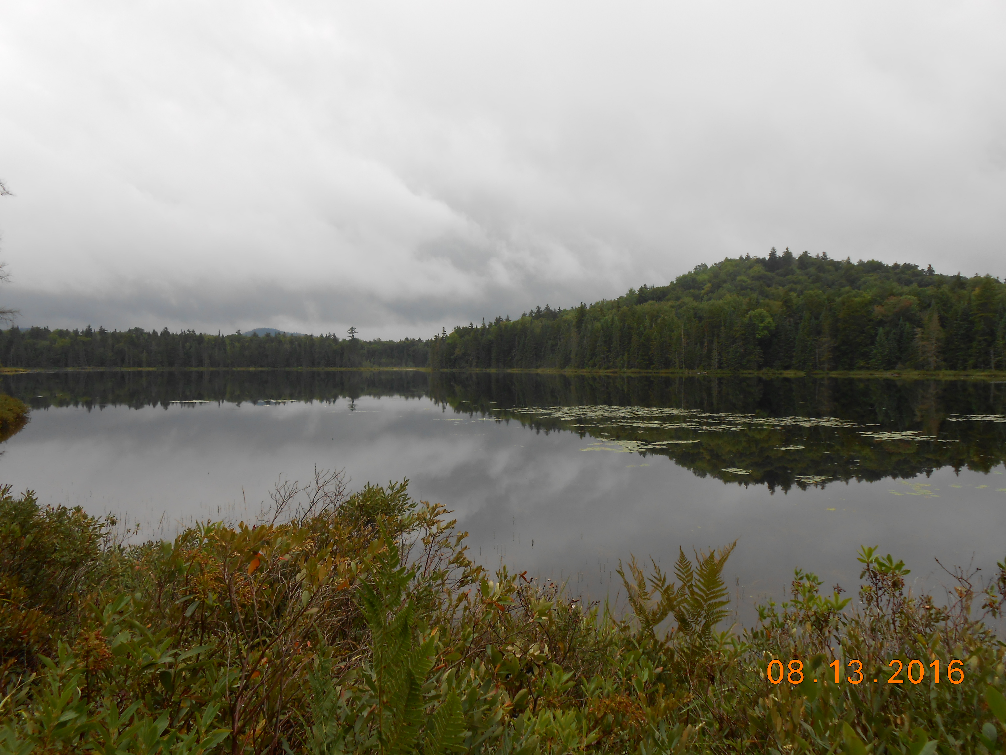 safford-pond